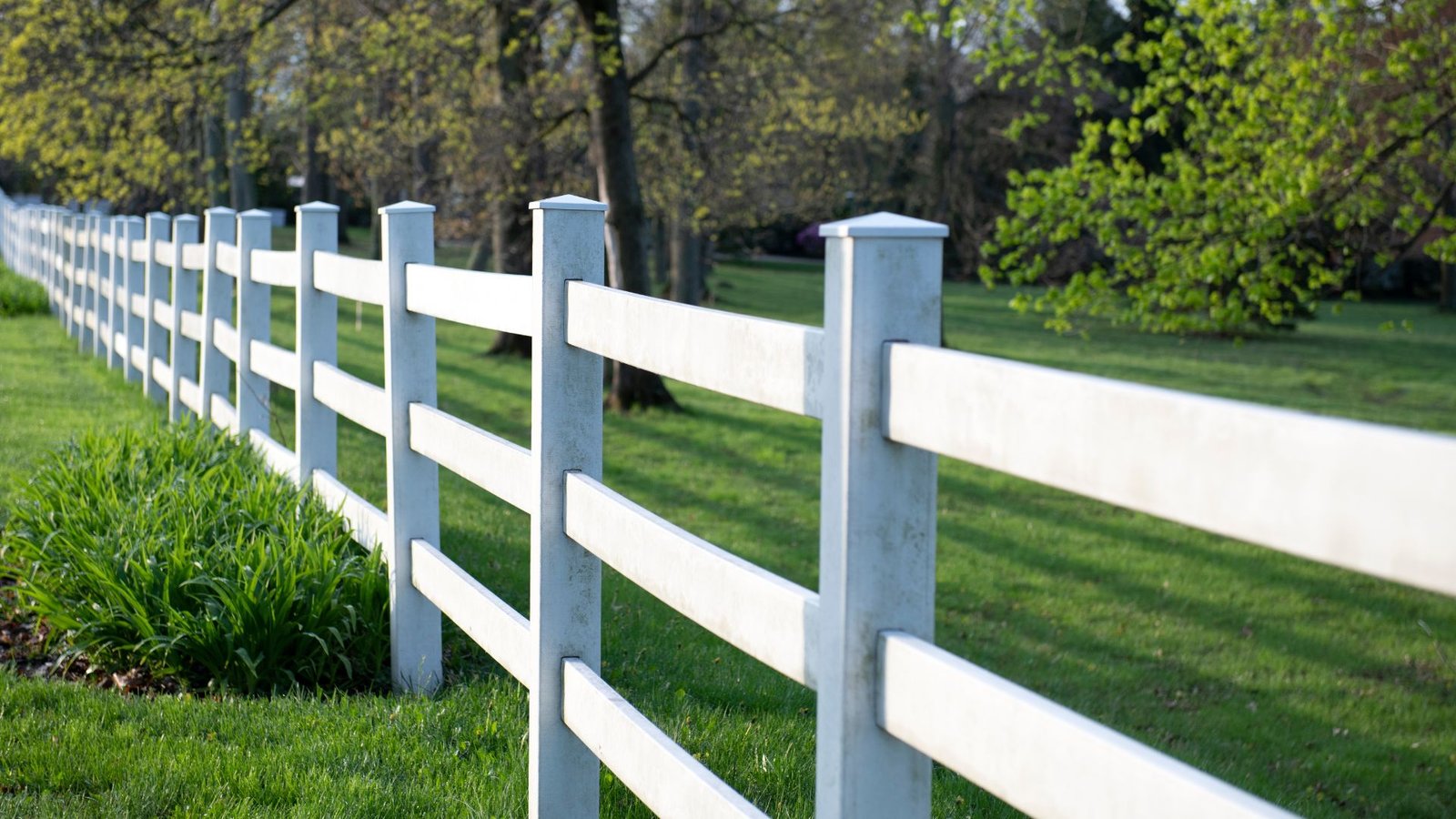 Best Fence Posts NZ: Top Types, Costs & Buying Tips